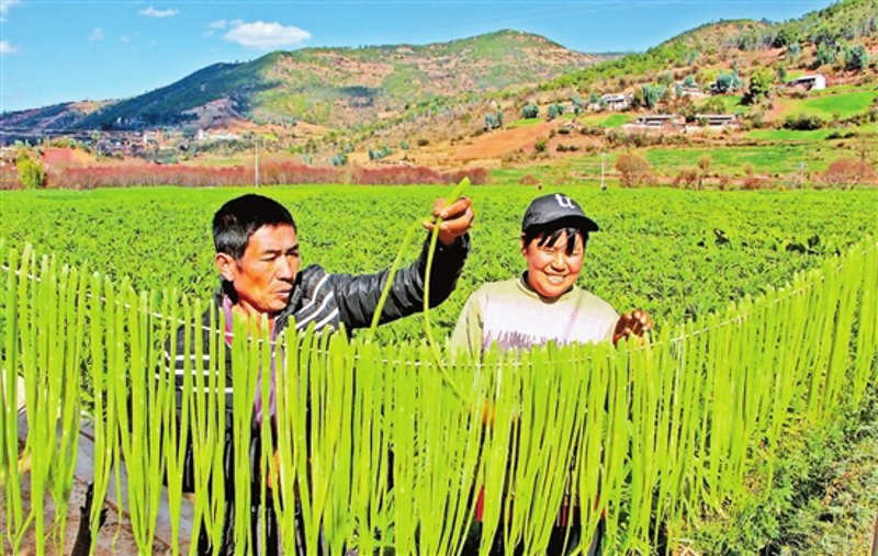 大田县属于哪个市？——从地理到行政划分的解析
