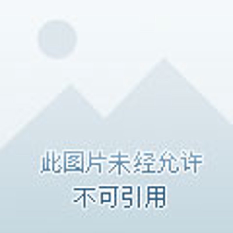 网店管家如何帮助商家提高运营效率？
